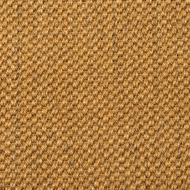 Sisal Grand Panama Nature