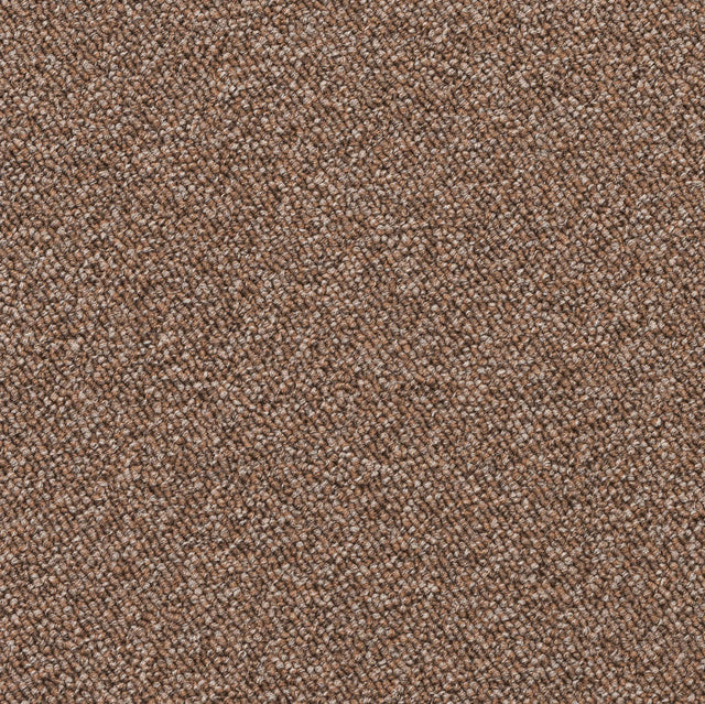 Coburn Beige