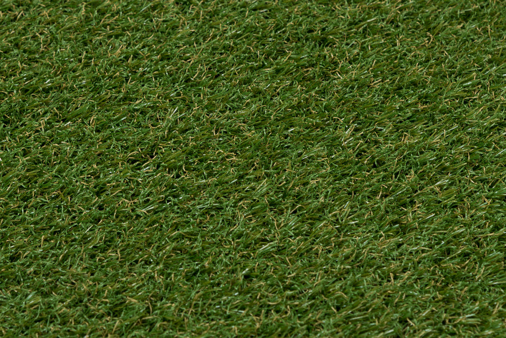 City Grass