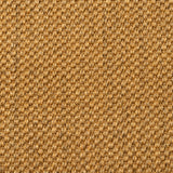 Sisal Grand Panama Nature