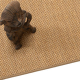 Sisal Panama X Nature