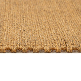 Sisal Grand Panama Nature