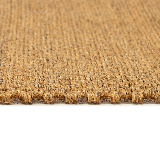 Sisal Grand Panama Nature