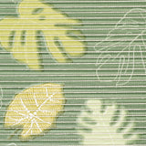 Sympatex Monstera