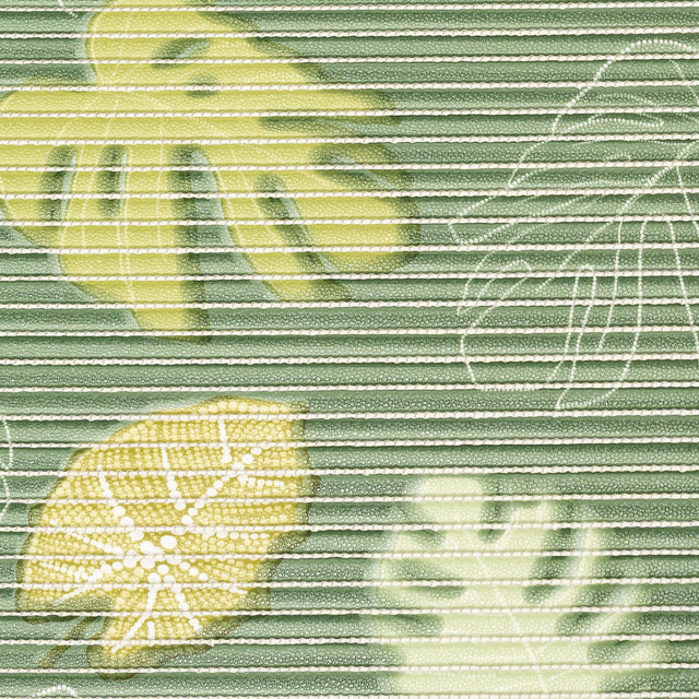 Sympatex Monstera