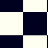 Chess Black  White