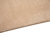 Fantasy Beige