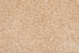 Fantasy Beige