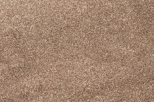 Grand Taupe