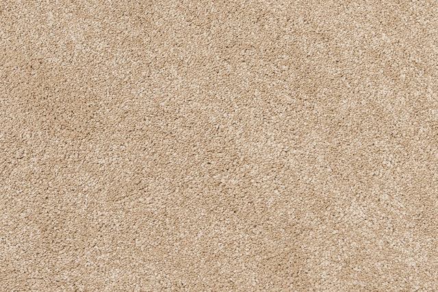 Tender dark beige