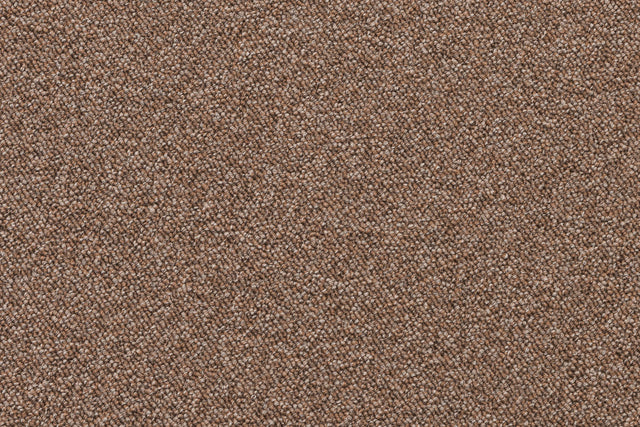 Coburn Beige
