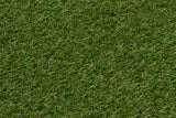 City Grass