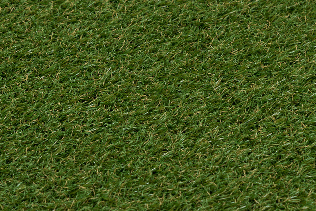 City Grass