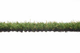 City Grass