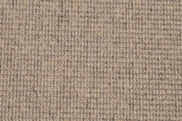 Craft Beige