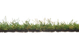 Play Grass